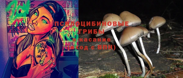 бутират Снежногорск