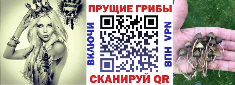 Галлюциногенные грибы Psilocybine cubensis  Белинский 